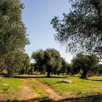 Feriested Masseria D'erchia