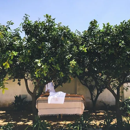Masseria D'erchia 3* Monopoli