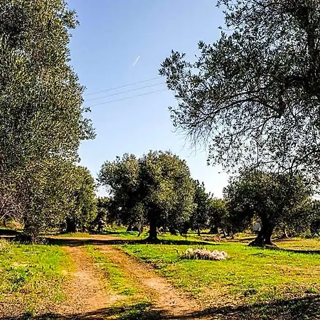 Masseria D'erchia Θέρετρο