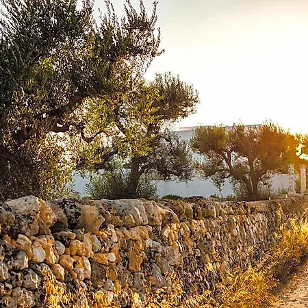 Masseria D'erchia Monopoli