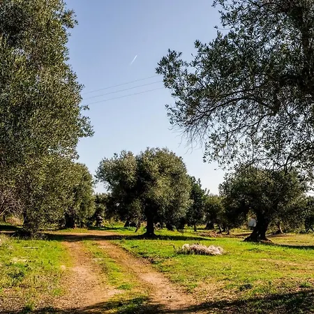 אתר נופש Masseria D'erchia