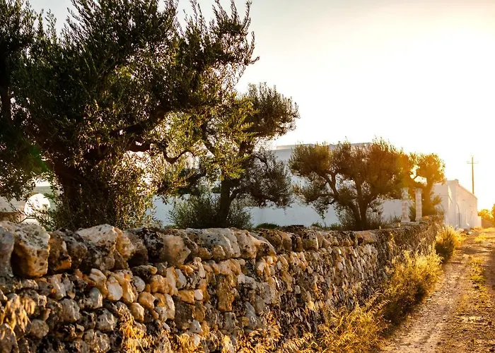 리조트 Masseria D'erchia 모노폴리